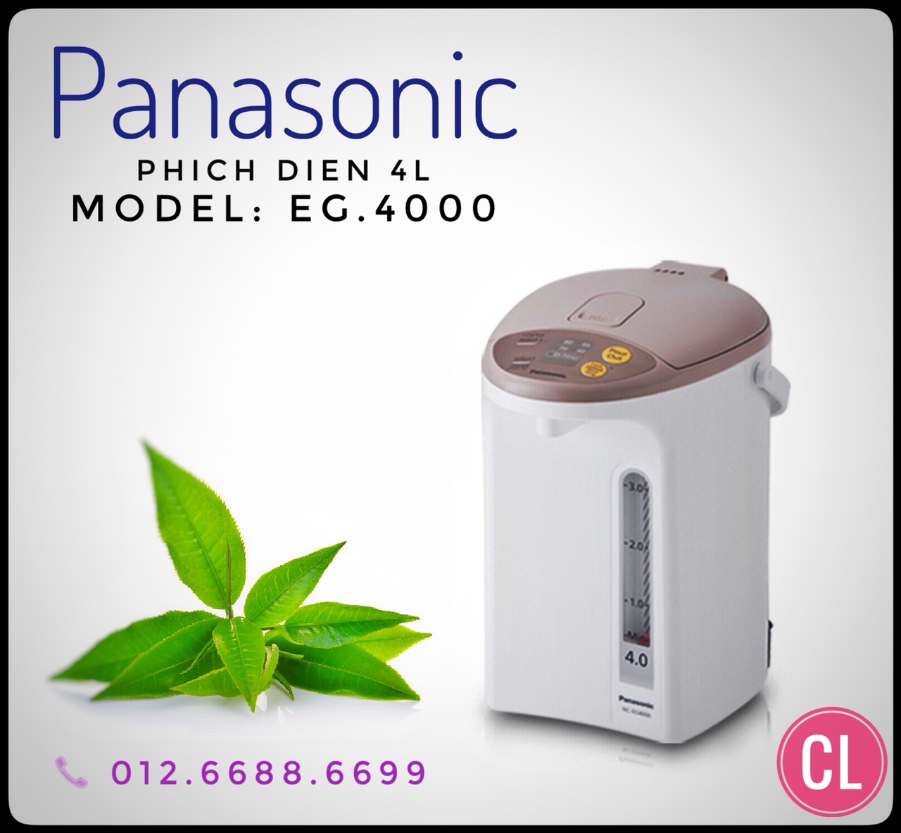 Bình thủy điện Panasonic EG4000