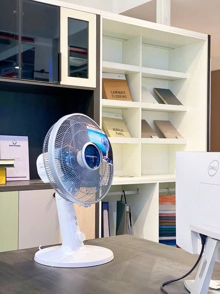 Quạt bàn Rowenta VU2730