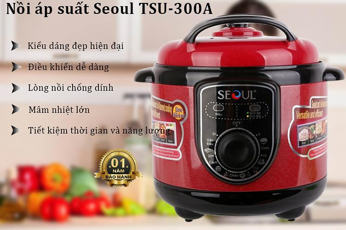 Nồi áp suất điện 3l Seoul TSU300