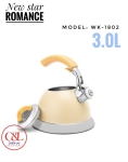 Ấm Newstar đun từ 3L inox 304 WK-1802